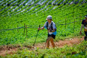 BIB: 
                            <button type="button" onclick="openModal(19164681)" class="btn btn-primary btn-sm float-right btn-popup" data-toggle="modal" data-target=".modal-high-quality">
                        <i class="fas fa-shopping-cart"></i> Add to Cart
                    </button>
                                            <button type="button" onclick="isThisMe(19164681, true)" class="btn btn-success btn-sm float-right btn-popup btn-isme hidden" data-toggle="tooltip" data-placement="bottom" title="นี่คือรูปของคุณใช่ไหม คลิกที่นี่เพื่อเอาเข้าอัลบั้ม">
                        <i class="fas fa-plus"></i> Add to album
                    </button>
                    <button type="button" onclick="isThisMe(19164681, false)" class="btn btn-warning btn-sm float-right btn-popup btn-isnotme hidden">
                        <i class="fas fa-ban"></i> Remove from album
                    </button>